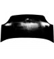 500.4 / 500.5 Copertura per aixam 500.4,500.4 MINIVAN,500.4 PICKUP,500.5 , 500.5 MINIVAN , 500.5 PICKUP