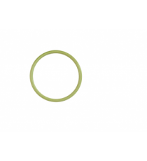 O-RING DADO INIETTORE LOMBARDINI FOCS / PROGRESS