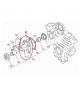POMPA D'ACQUA bicilindrica Kubota AIXAM prima del 2003 MOTORE KUBOTA Z402 E Z482 (TURBINA 10 MM)