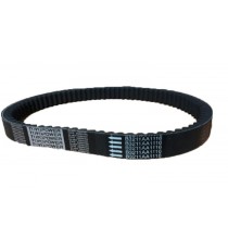 Cinghia di trasmissione Chatenet Barooder, Media, Stella Motore Lombardini Focs 884 mm (adattabile)