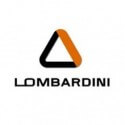 Filtro olio Lombardini
